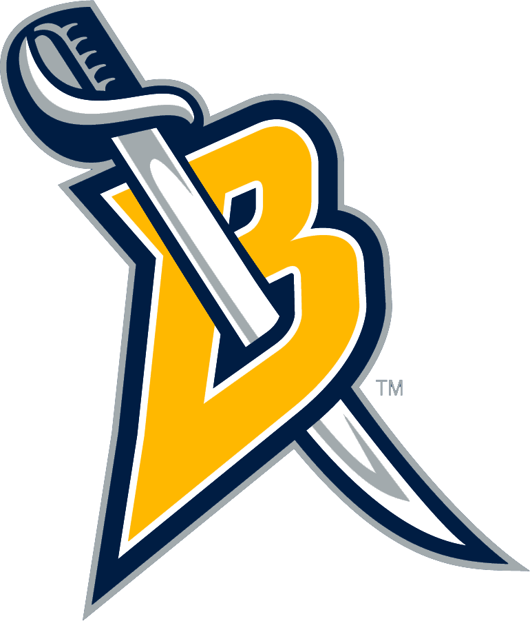 Buffalo Sabres 2006-2012 Alternate Logo DIY iron on transfer (heat transfer)